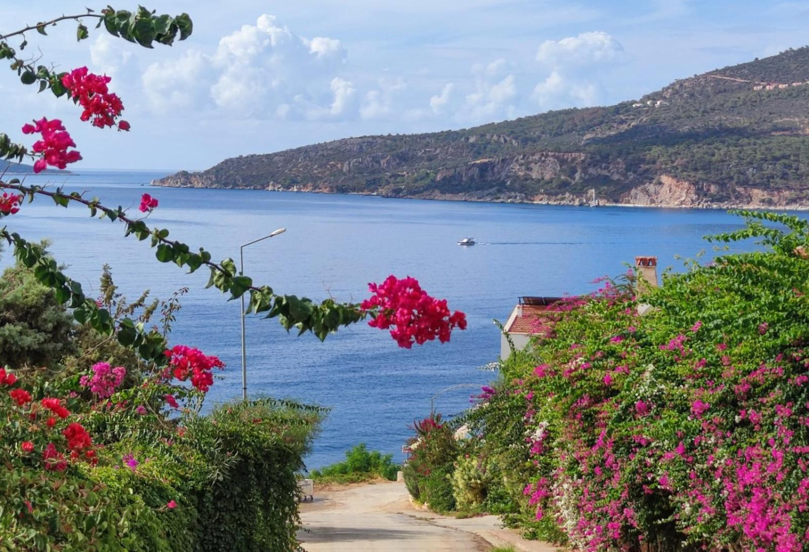 Villa Zeytin Kaş Exterior foto